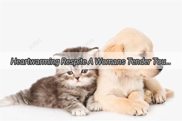 Heartwarming Respite A Womans Tender Touch Calms a Scared Puppys Worries